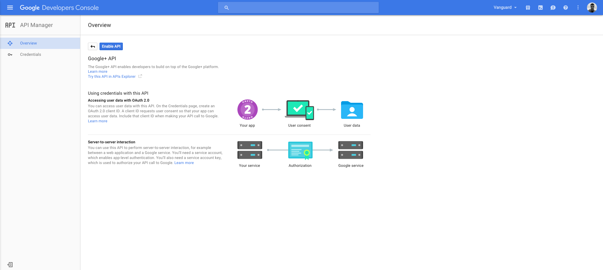 Portal Social Authentication - Enable Google+ API